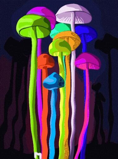 The future of magic mushroom spore syringe sales on Etsy: trends and predictions
